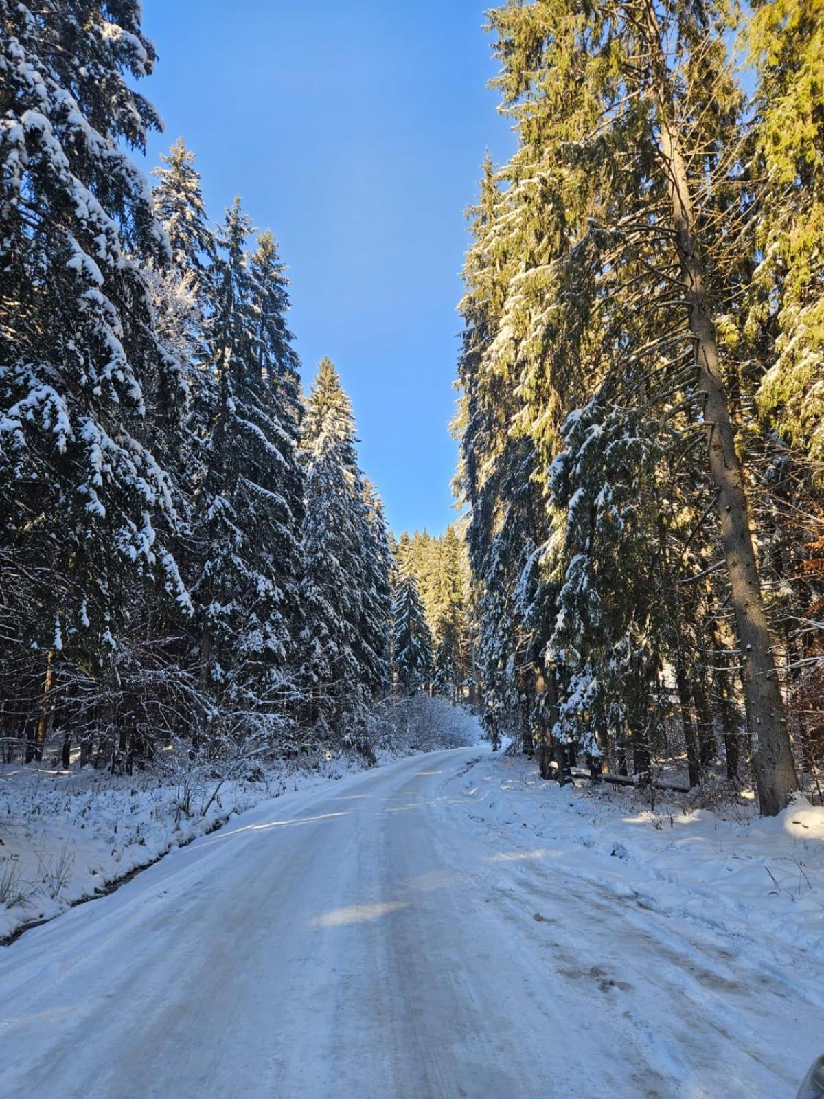 Piricske Pihenohaz Villa Ciceu Exteriör bild